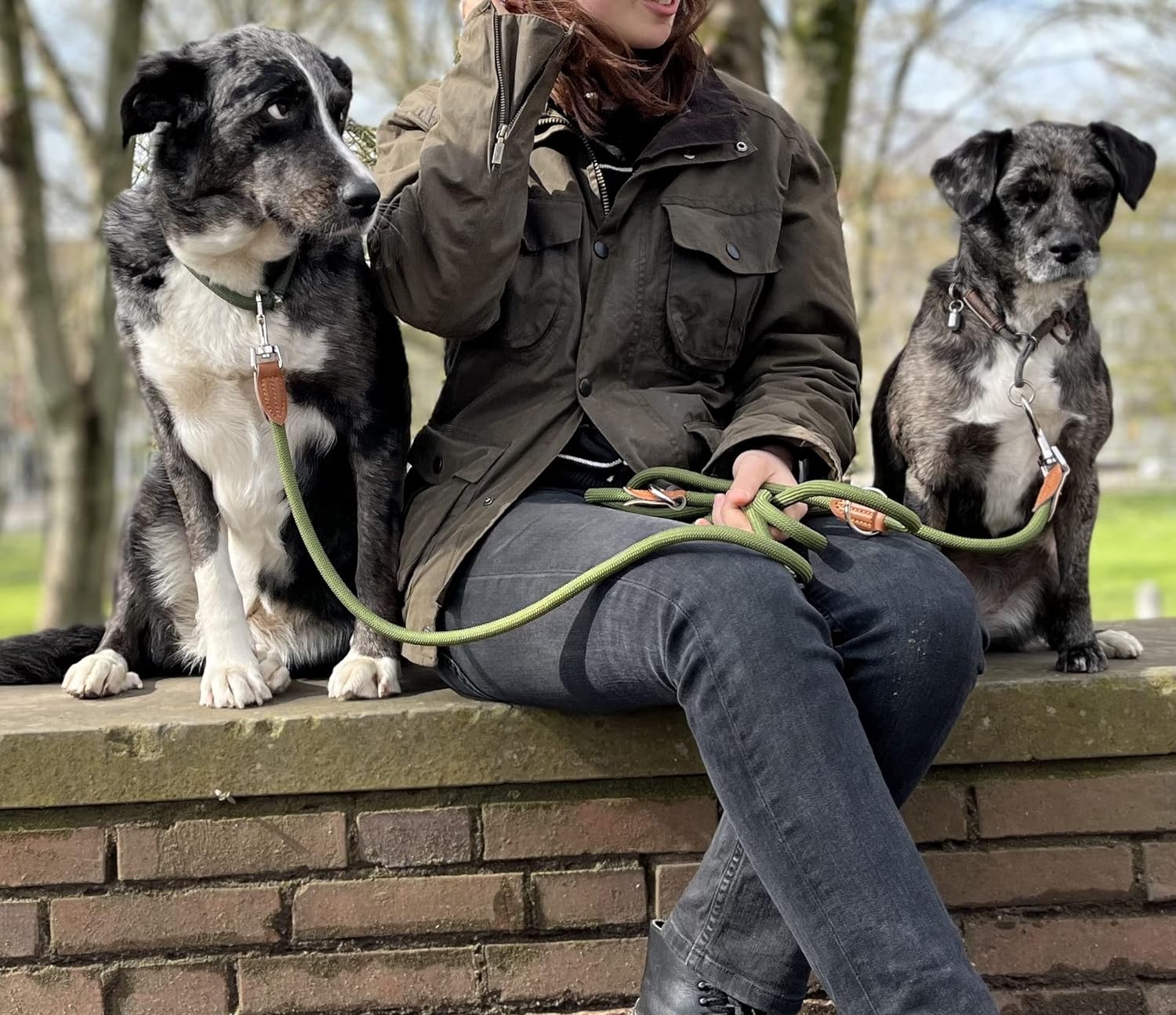 Hundeleine lang für kleine & mittelgroße Hunde